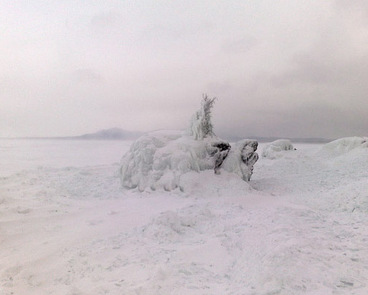 Валун черепаха на озере Байкал зимой в снегу